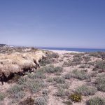 0204-foto-dun-ramat-dovelles-a-la-platja