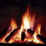 foc_llenya