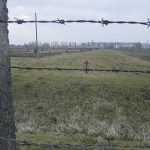 Auschwitz_filferrat