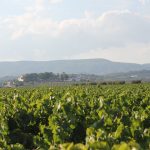 Roser-Olivella_IMG_6885