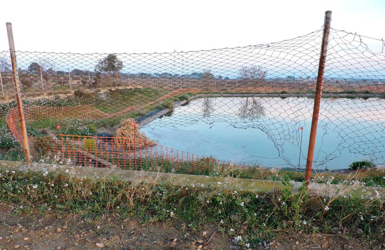 Geven també denuncia l'estat d'bandonament de la llacuna de La Torregassa, amb la tanca de seguretat foradada