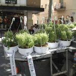 3_Vilanova_Alfabregues