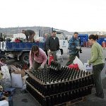 13_Vilafranca_Campanya-ampolla