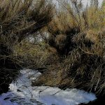 foix contaminació 12-03-18-1
