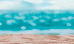Banner-728-x-90