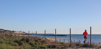 Visita tècnica a Platja Llarga.