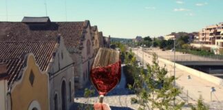 Dijous de Vi, amb vins del celler Pinord.