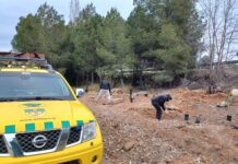 Planten alzines per evitar abocaments d’escombraries