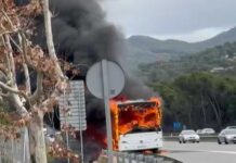 Crema totalment un autobús de la línia Barcelona-Vilafranca a l’AP-7