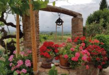 800 lots de flors a punt de lluir al “Subirats en flor”
