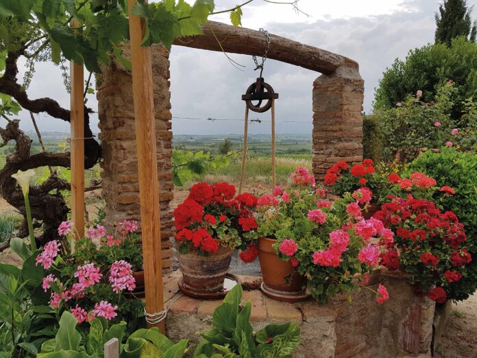 Autoria_imatge_Paquita-Massana_Flors_Primavera