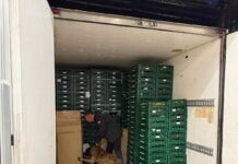 Detenen un home a Sant Sadurní d’Anoia que transportava 130 quilograms de substàncies estupefaents