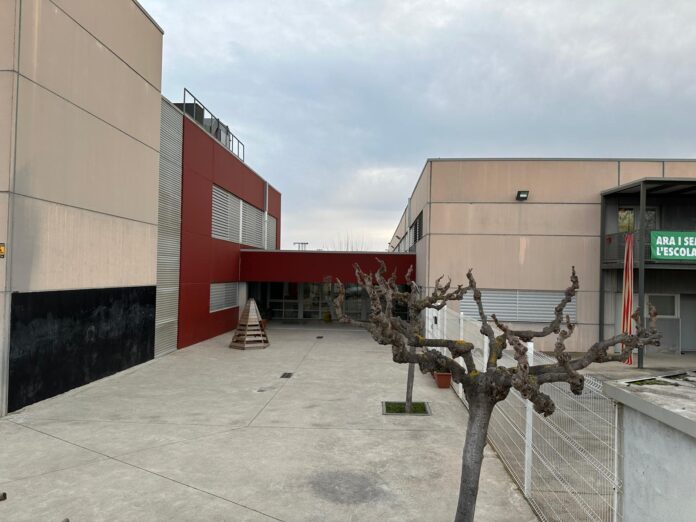 Dolors Piera_0