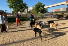Inquietud entre els usuaris de l’espai per a gossos de la Barceloneta de Vilafranca pel seu futur