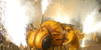 Festa de la Fil·loxera