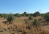 El GEPEC-EdC presenta al·legacions a dos projectes energètics que afecten el Baix Penedès