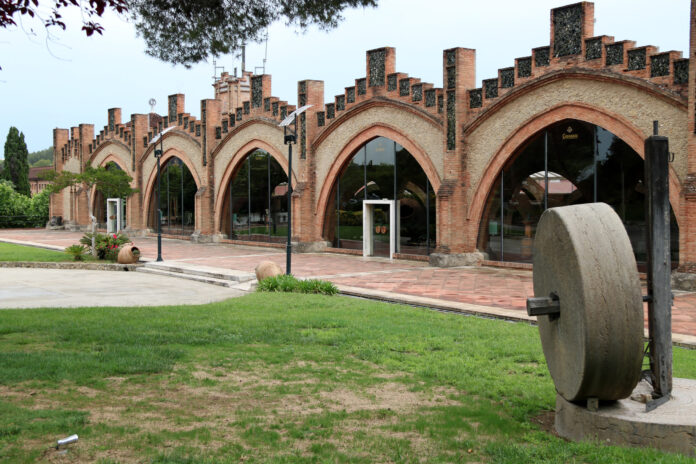 Caves Codorniu (Sant Sadurni)_ACN