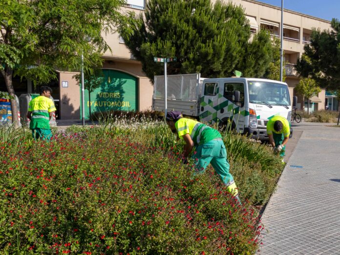 Entrem---Servei-de-jardineria-maig-2026-11_0