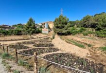 Calafell finalitza la primera fase de l’adequació del torrent de la Casa Vella
