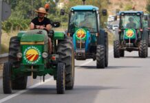 Els viticultors exigeixen solucions a la crisi d’excedents