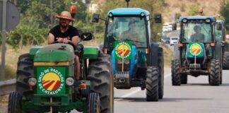 Els viticultors exigeixen solucions a la crisi d’excedents
