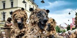 Espectacle “Óssos del Pirineu”, en el marc del FIMPT 2026.