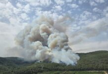 Un nou incendi a Aiguamúrcia obliga a confinar Pontons, Torrelles de Foix i la Llacuna